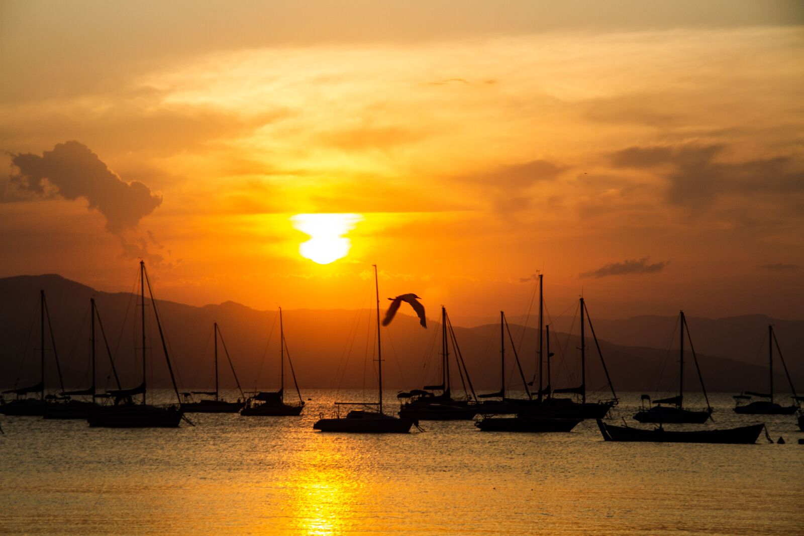 Canon EOS 7D sample photo. Sun, boat, sunset photography