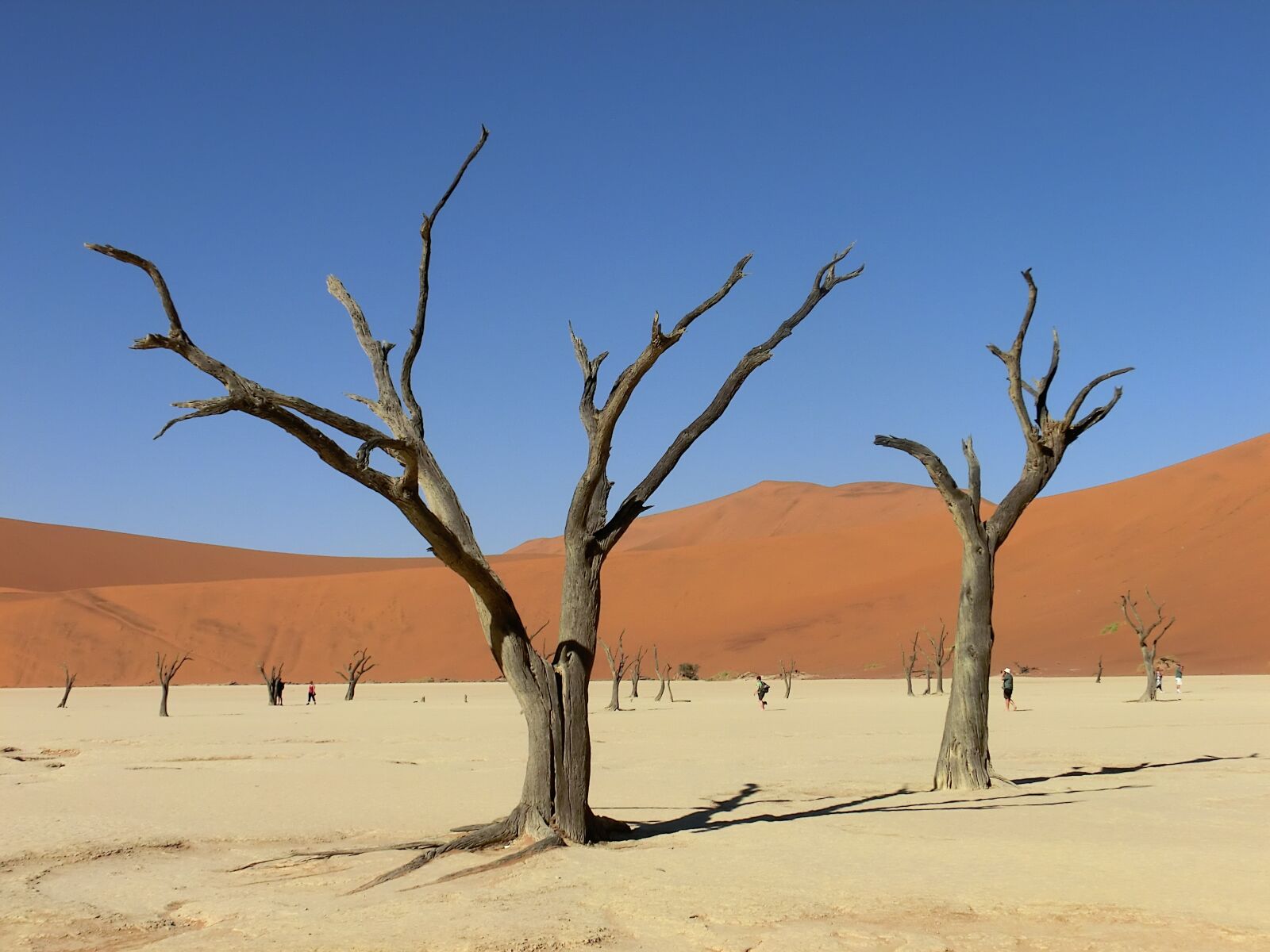 CASIO EX-H30 sample photo. Namibia, africa, sossusvlei photography