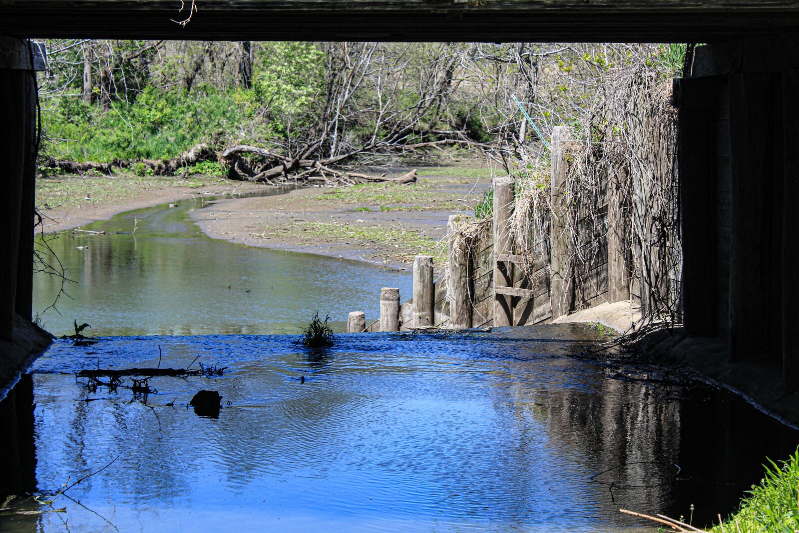 Canon EOS 4000D (EOS Rebel T100 / EOS 3000D) sample photo. Bridge, water, countryside photography