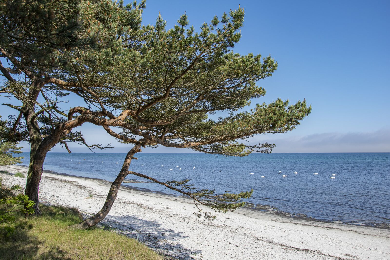 Nikon D5300 sample photo. Beach, baltic sea, coast photography