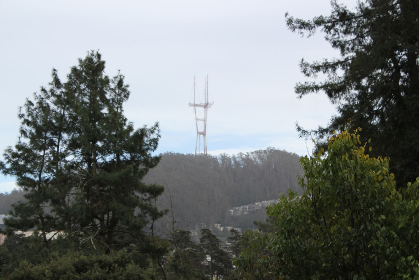 Canon EOS 550D (EOS Rebel T2i / EOS Kiss X4) sample photo. Golden gate park, san photography