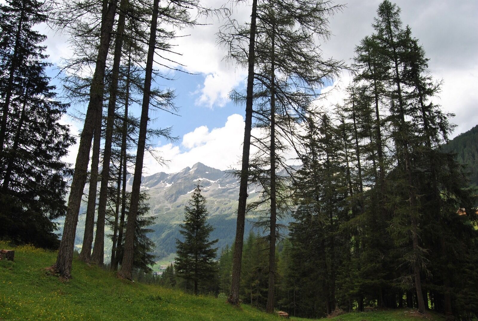 Nikon D3000 sample photo. Landscape, mountains, trees photography