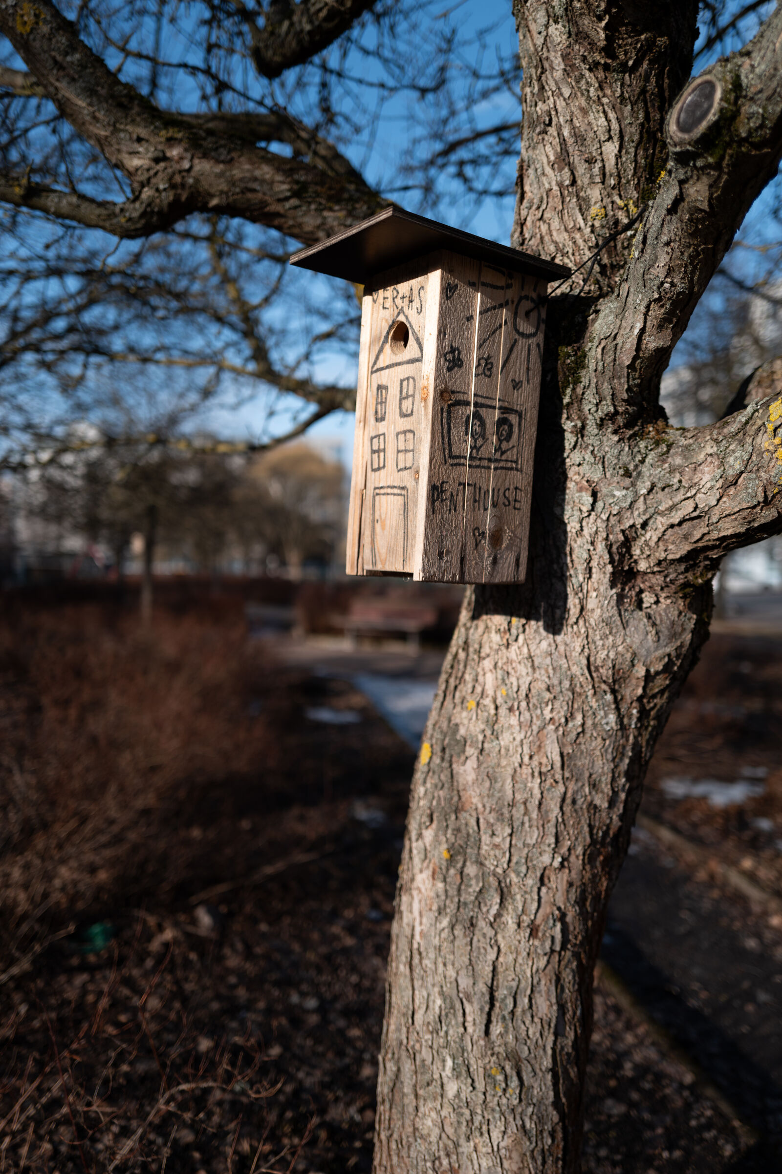 Leica Q3 sample photo. Birdhouse morning photography