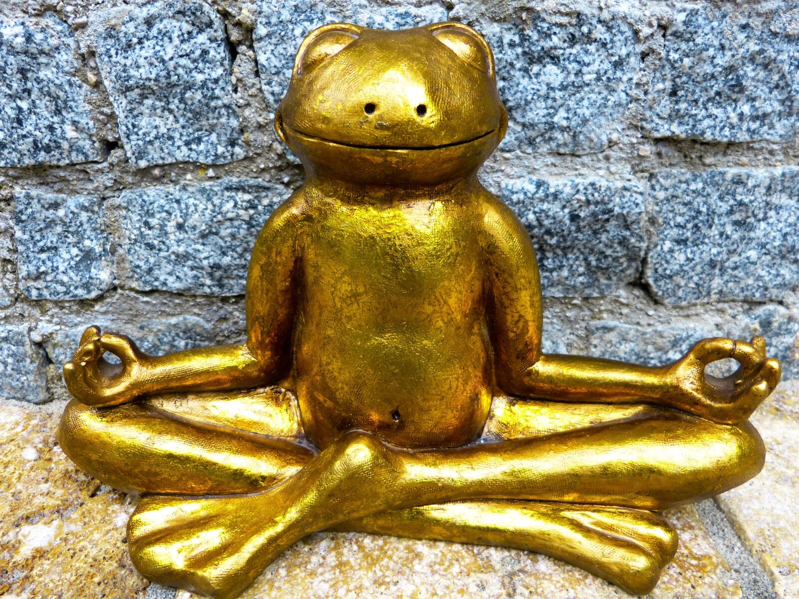 Panasonic Lumix DMC-FZ150 sample photo. Relaxation, meditation, frog photography