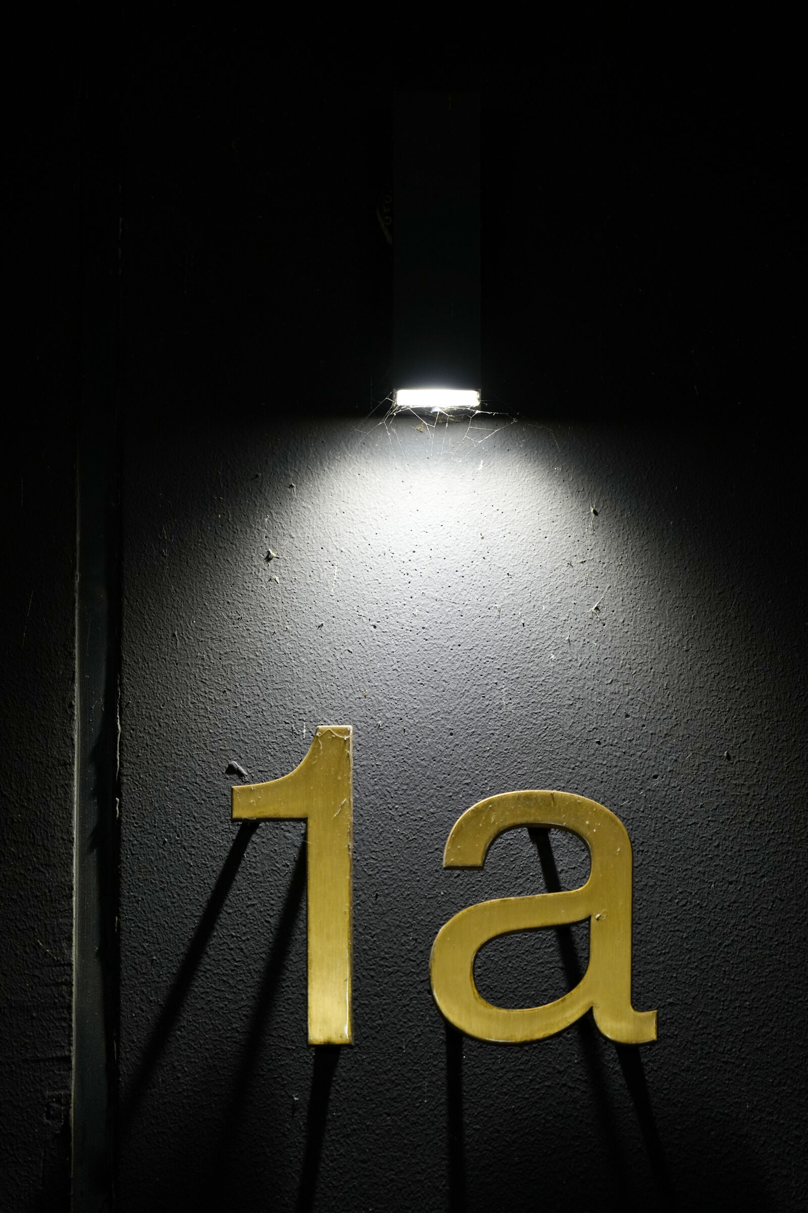 Sony a7 IV sample photo. 1a for light photography