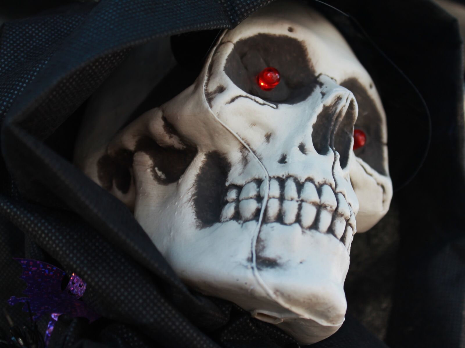 Canon EOS 1100D (EOS Rebel T3 / EOS Kiss X50) sample photo. Skull face, halloween, halloween photography