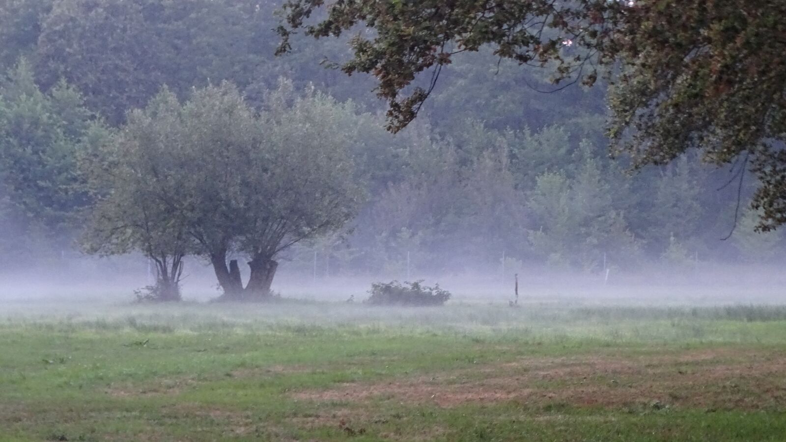 Sony Cyber-shot DSC-HX400V sample photo. Fog, landscape, mood photography