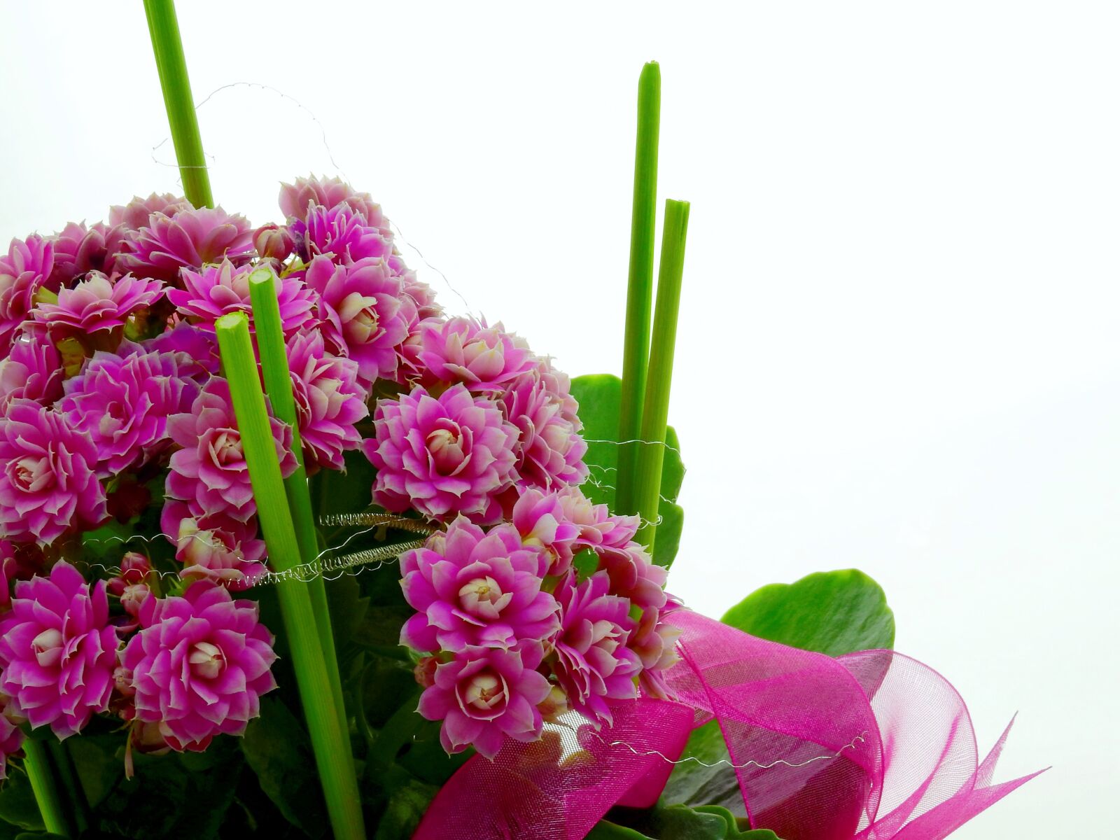 Nikon Coolpix P900 sample photo. Flower, arrangement, deco photography