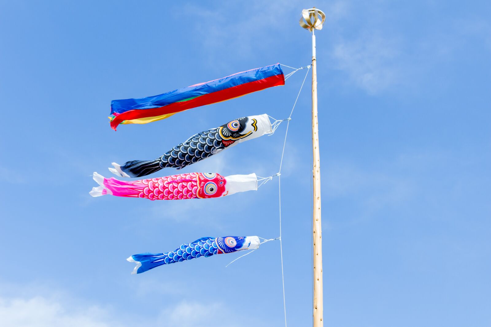 Canon EOS 100D (EOS Rebel SL1 / EOS Kiss X7) + Canon EF-S 18-55mm F3.5-5.6 IS STM sample photo. Carp streamer, may, festival photography