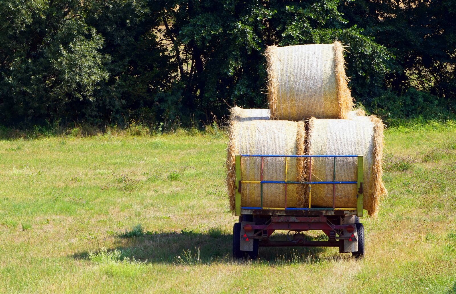 Sony Alpha a5000 (ILCE 5000) + Sony E 55-210mm F4.5-6.3 OSS sample photo. Hay, hay bales, summer photography