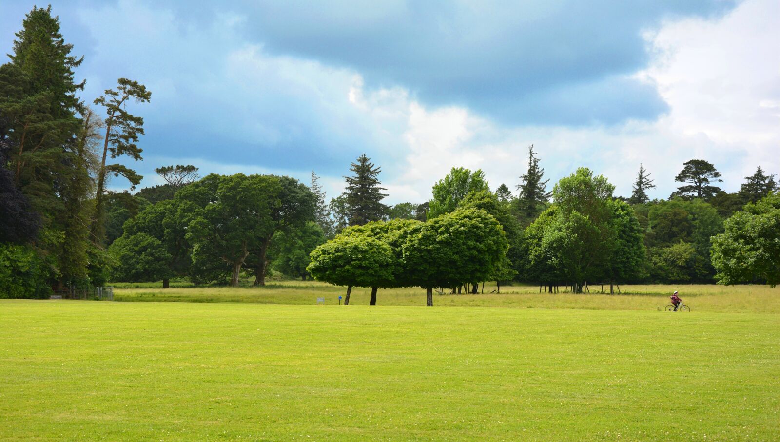 Nikon D5200 sample photo. Park, parklandschaft, english garden photography