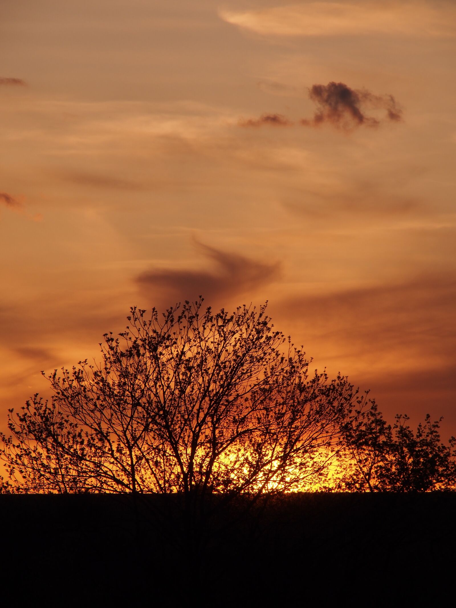 Olympus PEN E-PL5 sample photo. Evening, sunset, landscape photography