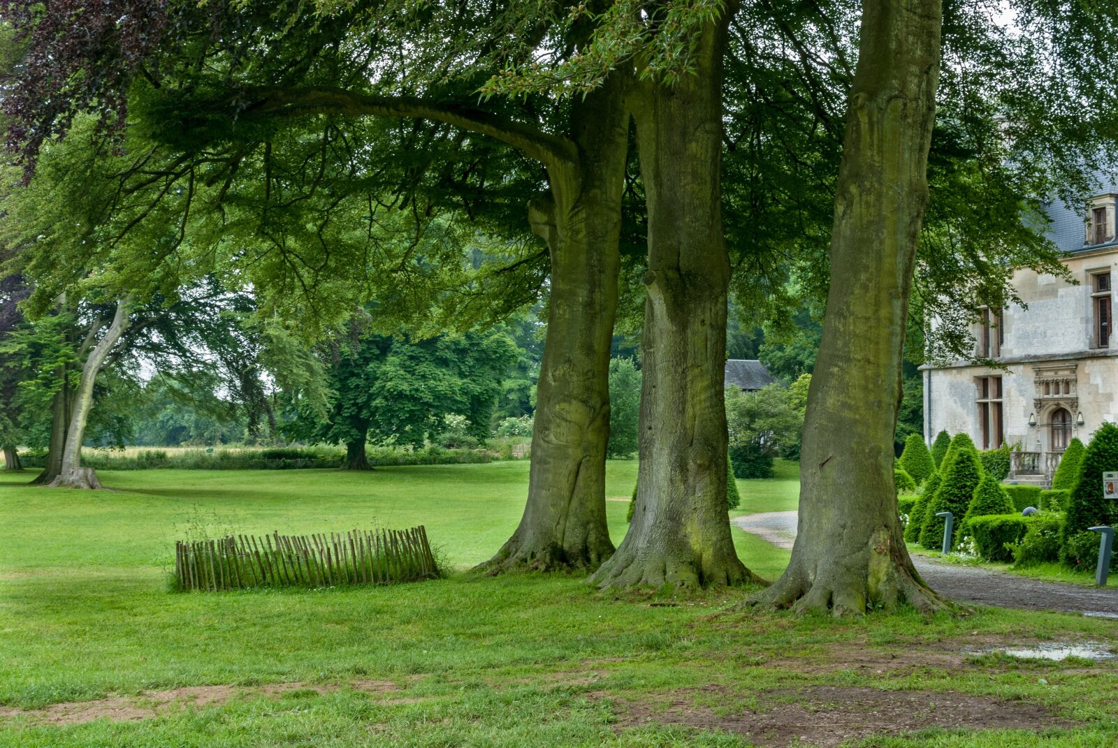 Nikon D80 sample photo. Park, castle gromesnil, france photography