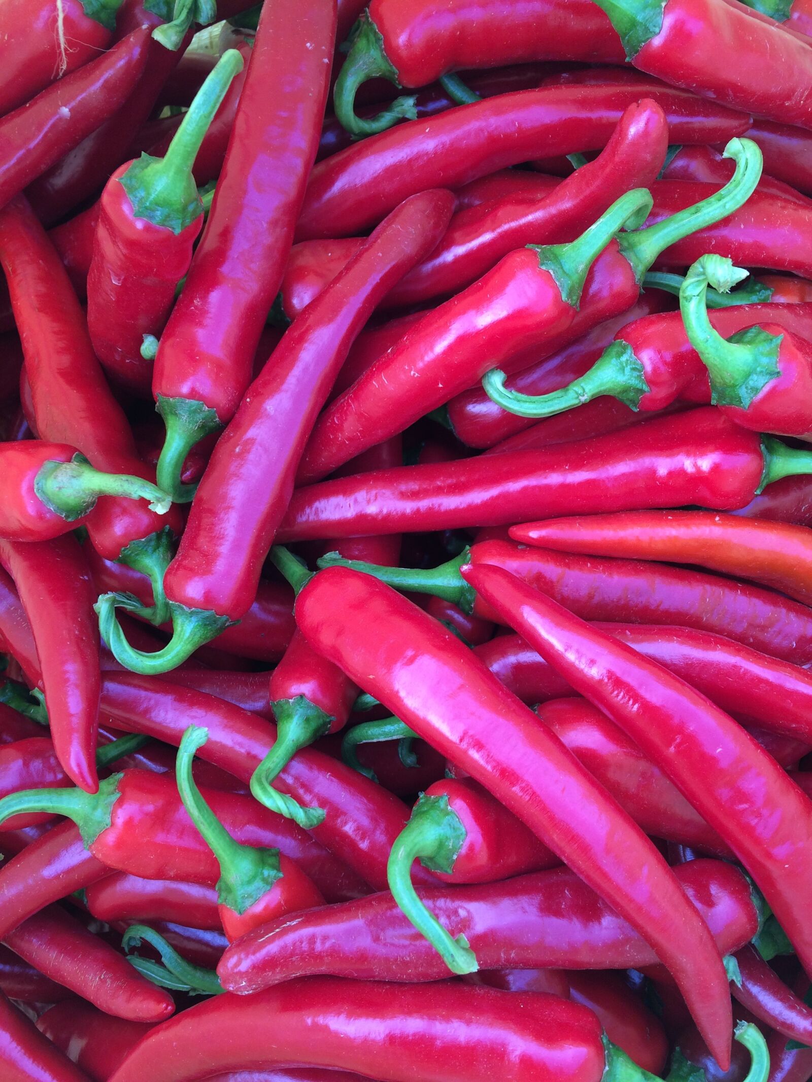 Apple iPhone 5s sample photo. Pepper, hot pepper, hot photography