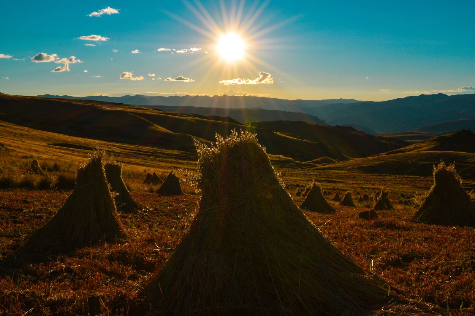 Nikon D3500 sample photo. Harvest, sunset, field photography