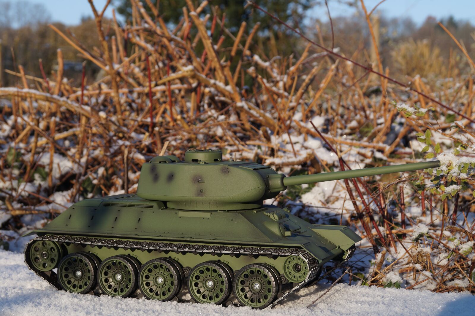 Sony DT 18-55mm F3.5-5.6 SAM II sample photo. Camouflage, panzer, army photography