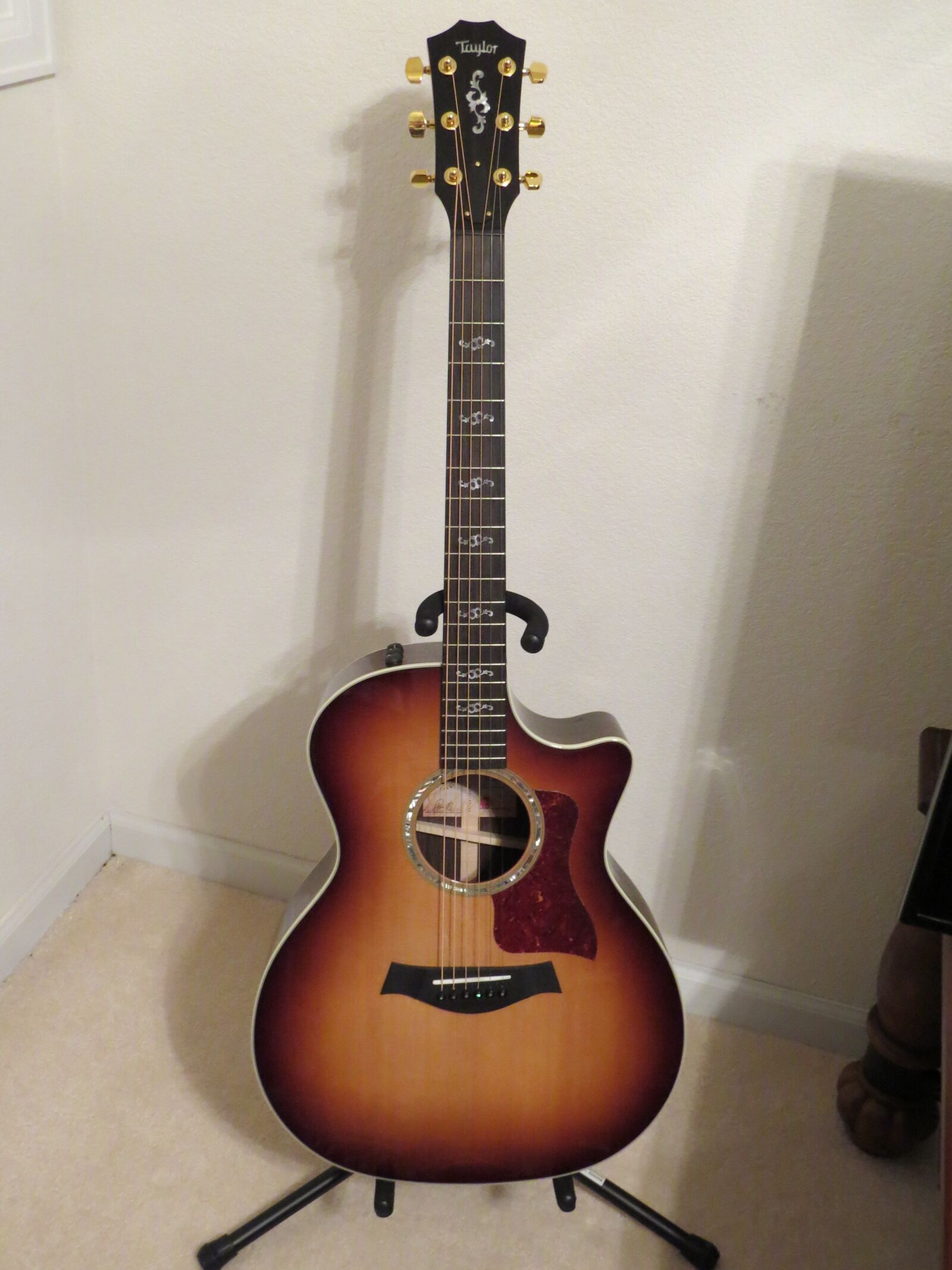 Canon PowerShot SX50 HS sample photo. Guitar, music, instrument photography