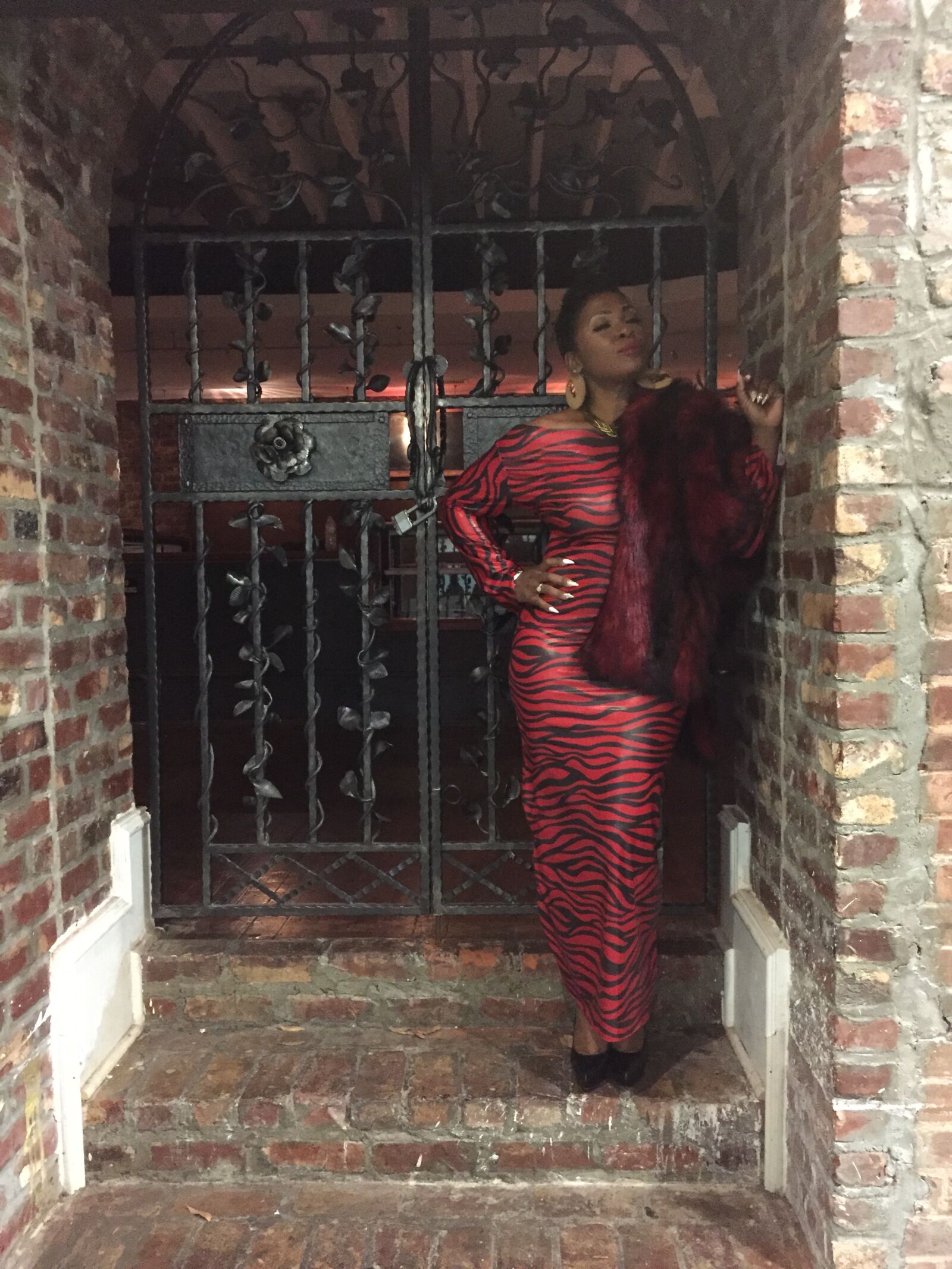 iPhone 6 back camera 4.15mm f/2.2 sample photo. Red dress, fur, diva photography