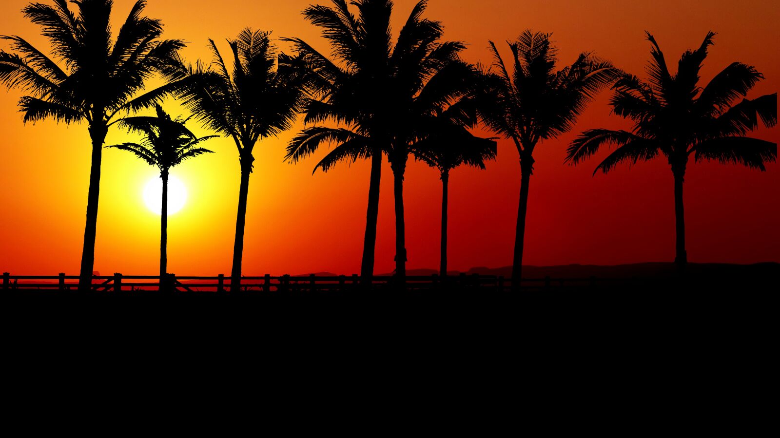 Panasonic Lumix DMC-FZ200 sample photo. Sunset, palm trees, promenade photography