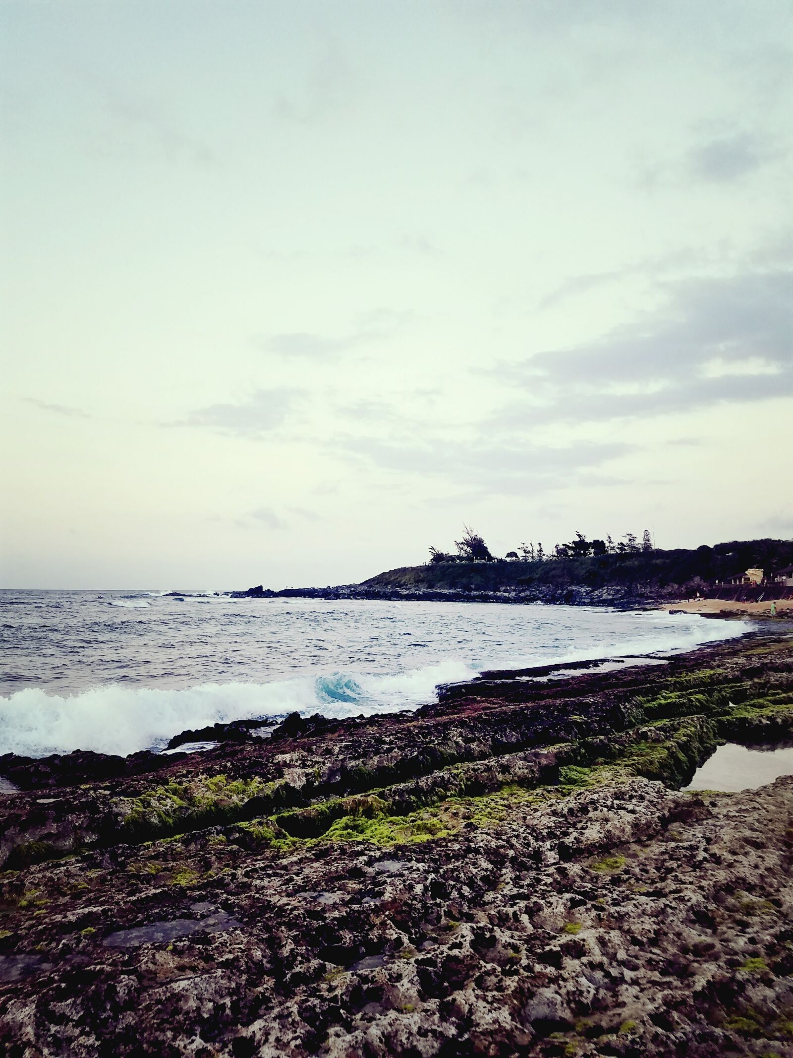 Samsung Galaxy S7 Edge sample photo. Algae, coast, line, hawaii photography