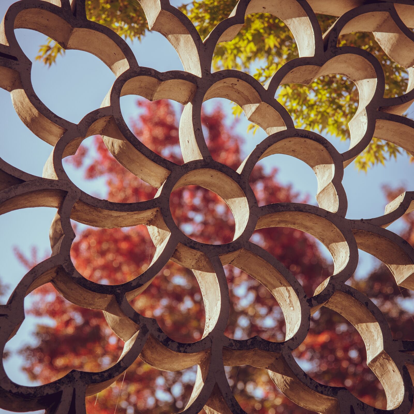 Nikon D750 sample photo. Ornament, flower, design photography