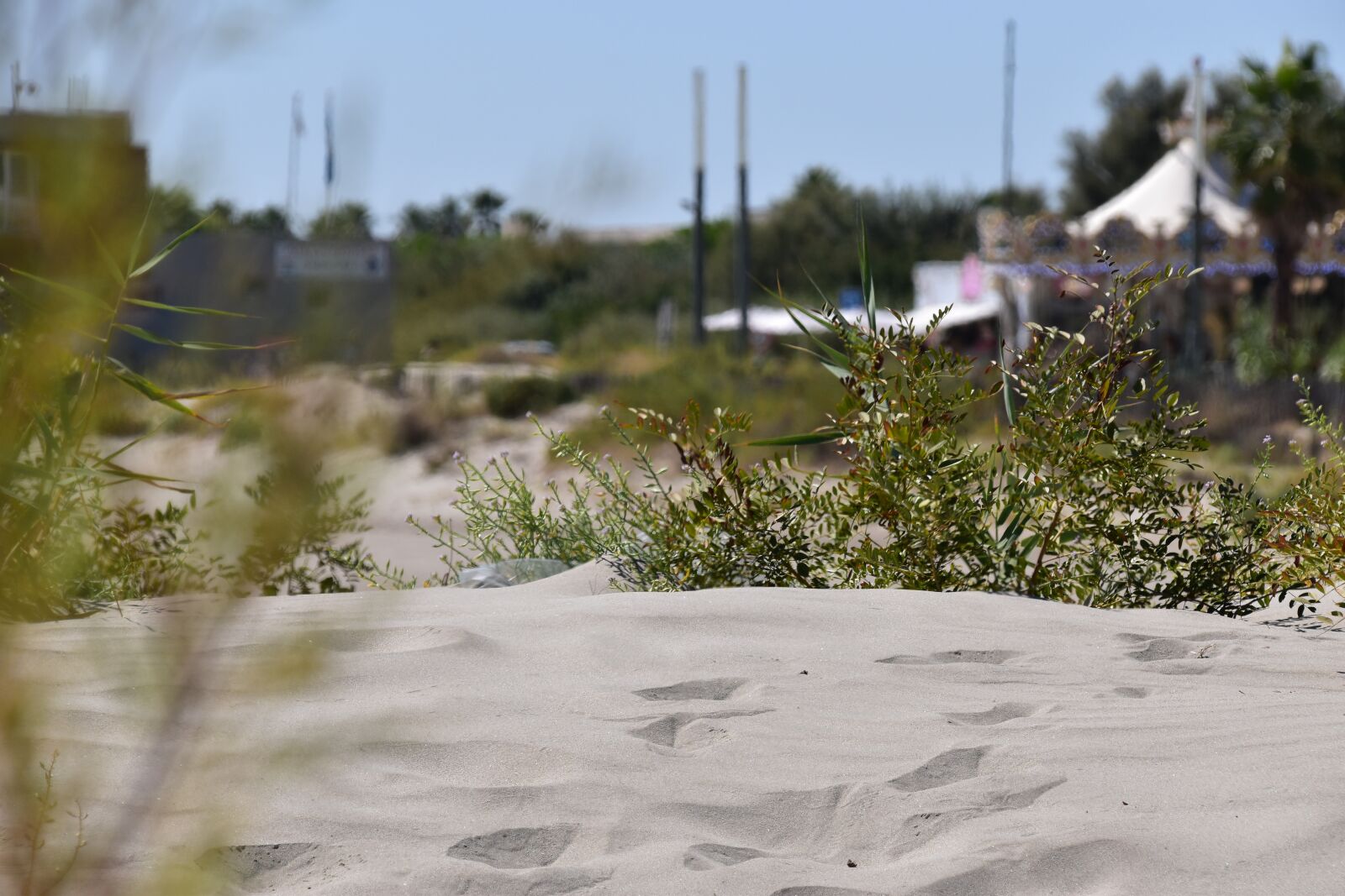 Nikon D5500 sample photo. Sète, beach, sand photography