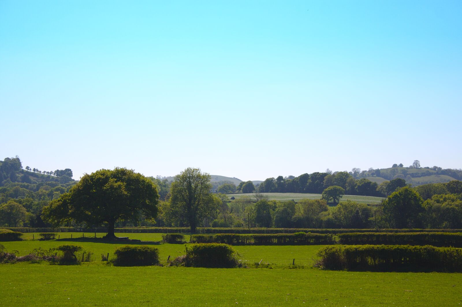 Canon EOS 50D sample photo. Landscape, fields, welsh photography