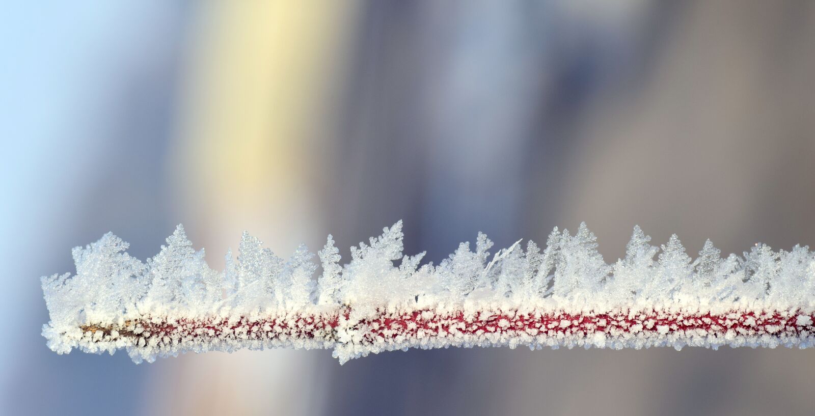 Nikon D3300 sample photo. Ice, frozen, cold photography