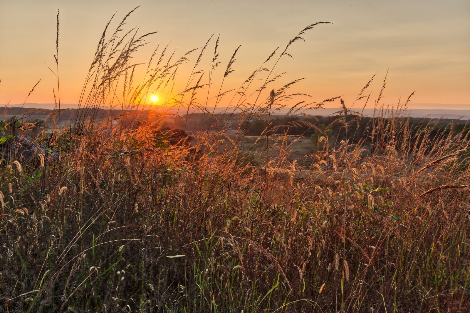 Canon EOS 6D + Canon EF 24-105mm F4L IS USM sample photo. Sunset, nature, sky photography