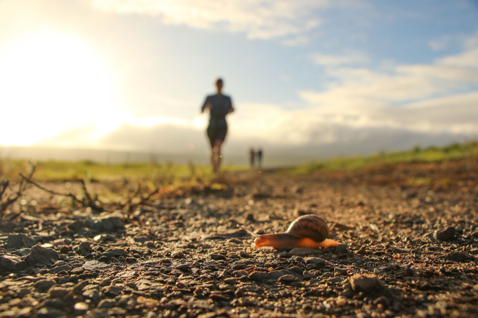 Canon EOS 7D Mark II sample photo. Trailrun, running, winner photography