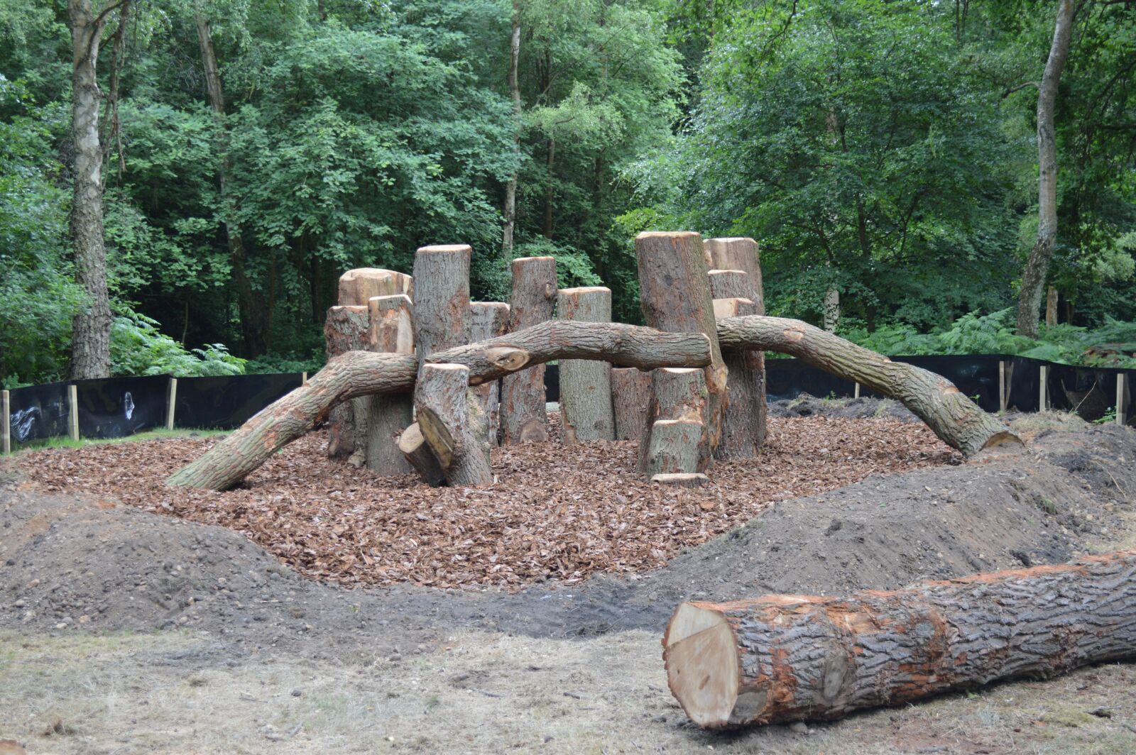 Nikon D3200 sample photo. Adventure, playground, natural photography