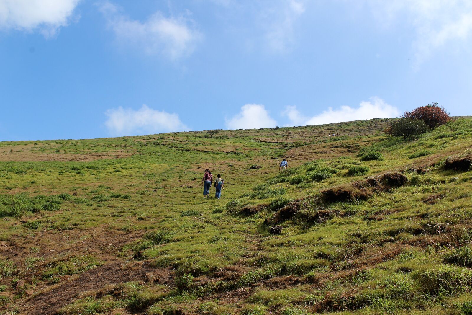 Canon EOS 1200D (EOS Rebel T5 / EOS Kiss X70 / EOS Hi) sample photo. Climbing hill, blue, green photography