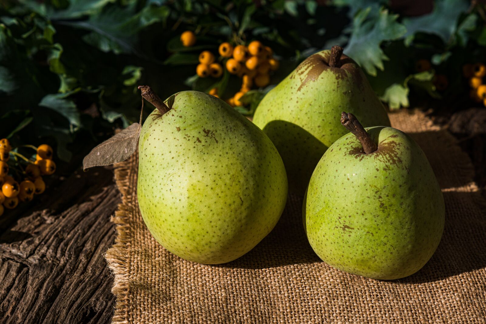 Sony DT 50mm F1.8 SAM sample photo. Pears, fruits, harvest photography