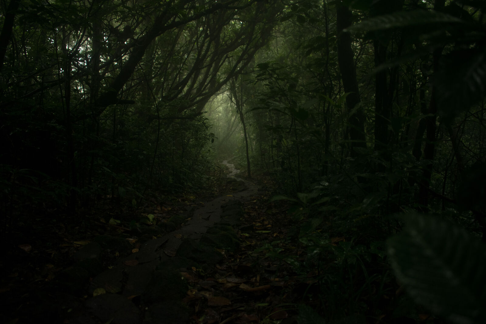 Nikon D3300 sample photo