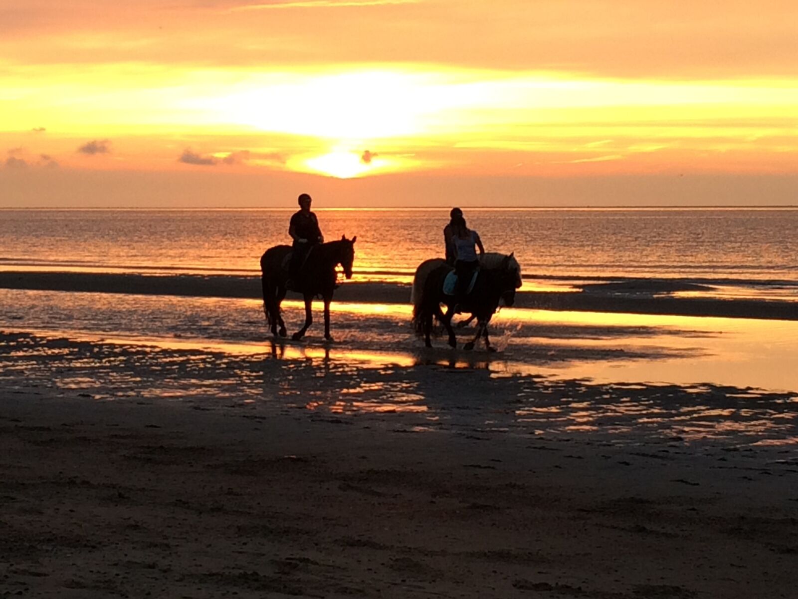 iPhone 5s back camera 4.15mm f/2.2 sample photo. Horses, horse, nature photography