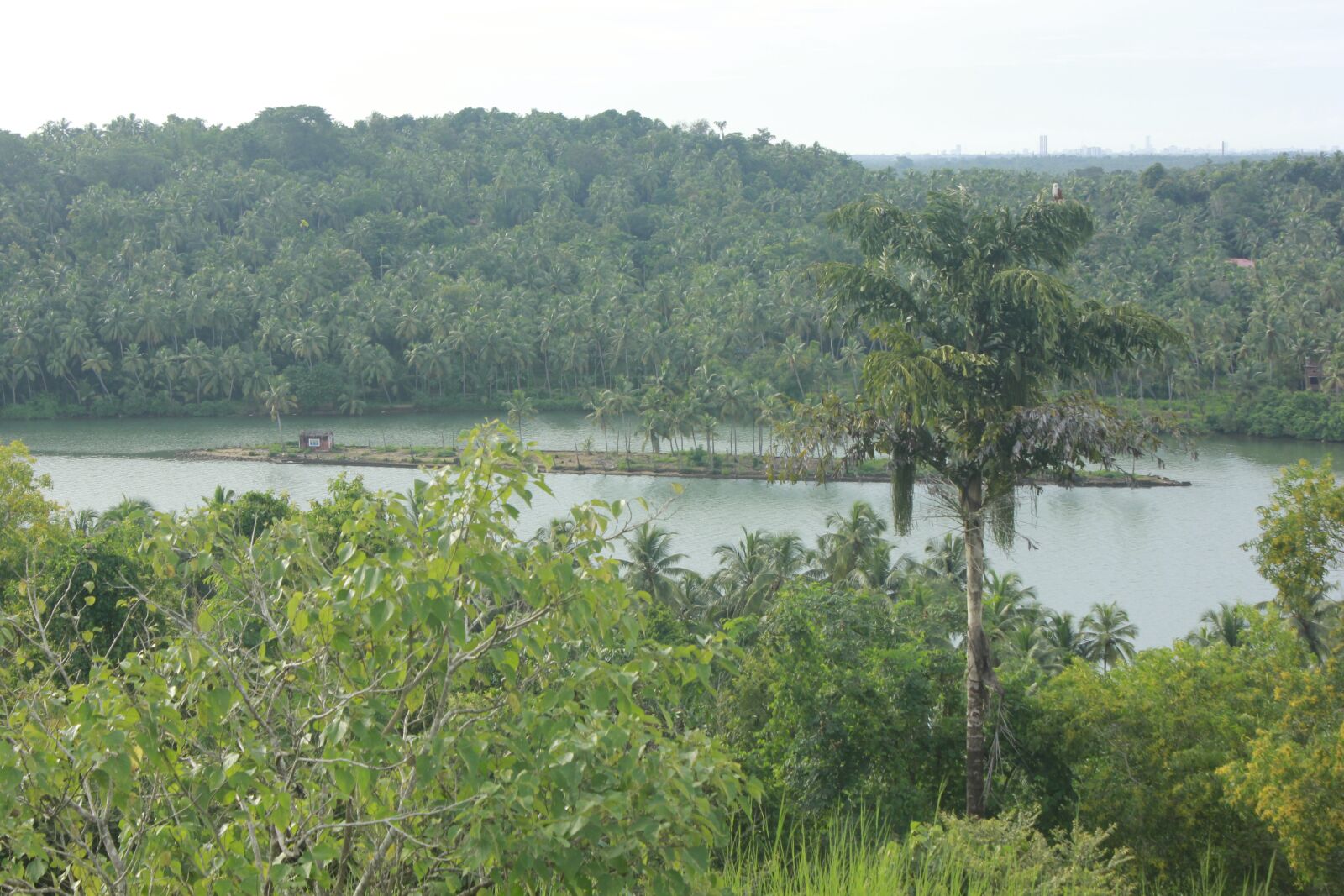 Canon EOS 550D (EOS Rebel T2i / EOS Kiss X4) sample photo. River, kerala, gods own photography
