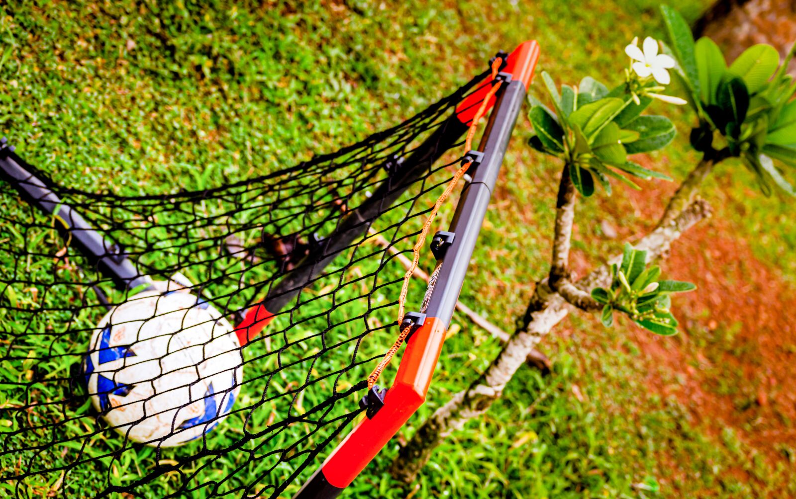 Nikon D7000 sample photo. Football, net, soccer photography