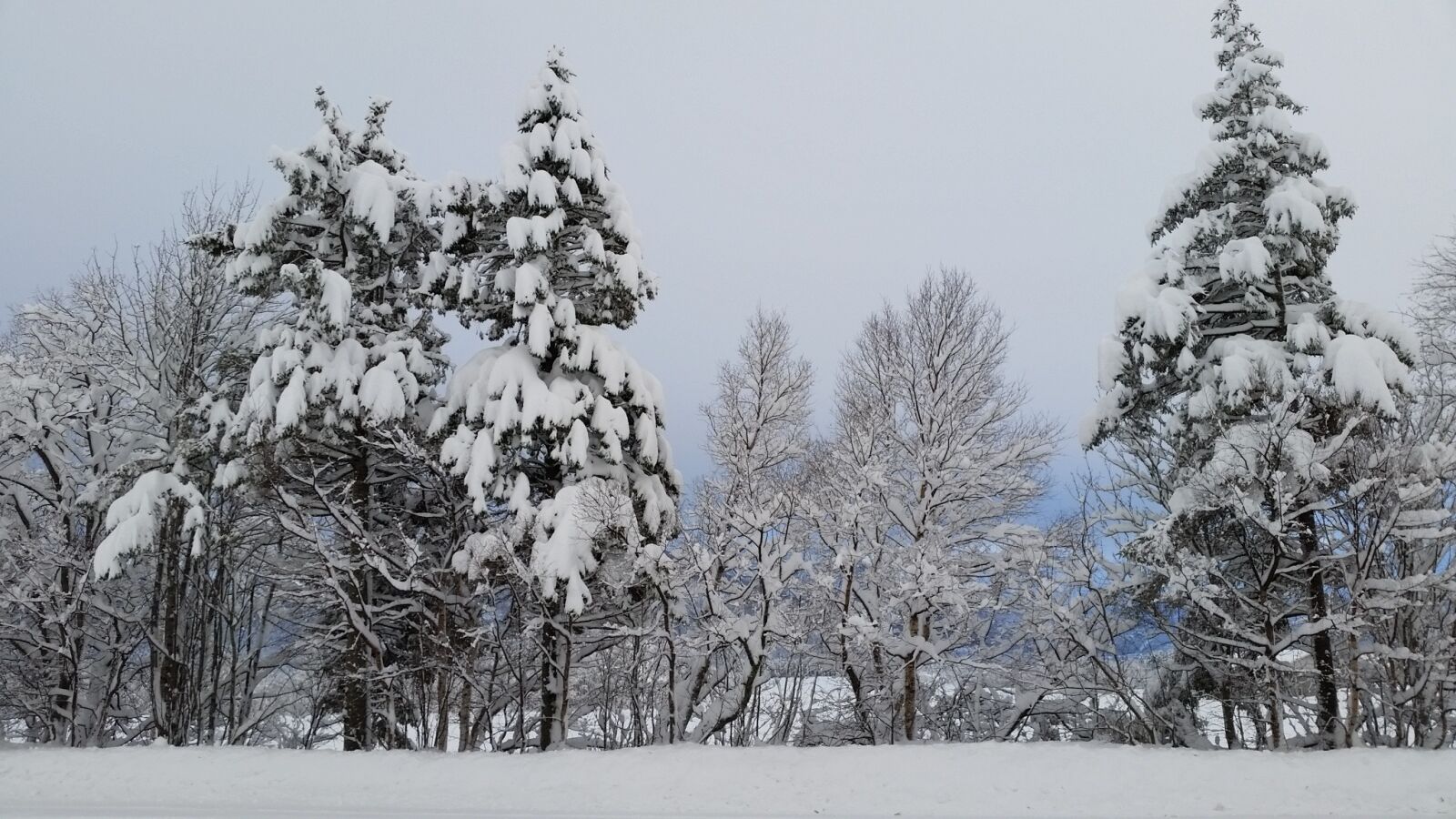Samsung Galaxy S5 sample photo. Winter, winter landscapes, landscape photography
