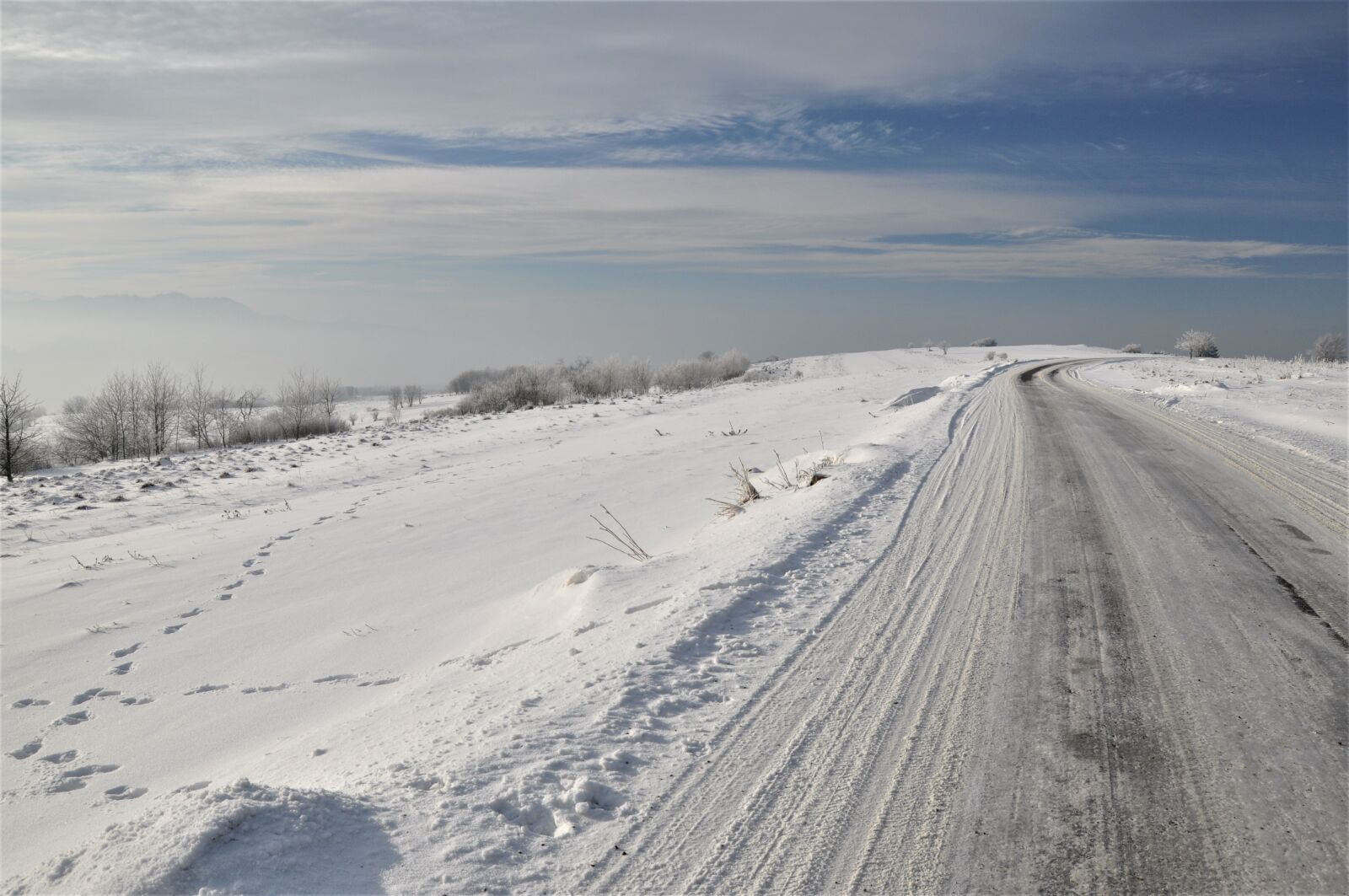 Nikon D90 sample photo. Winter, snow, frost photography