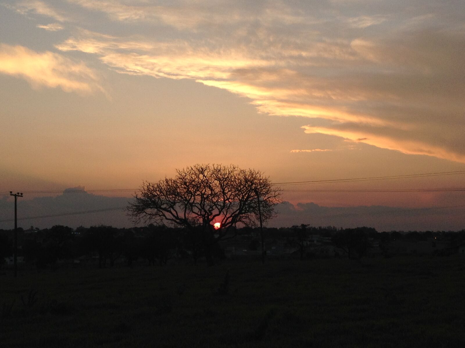 Apple iPhone 4S sample photo. Sol, dourado, tree, branch photography