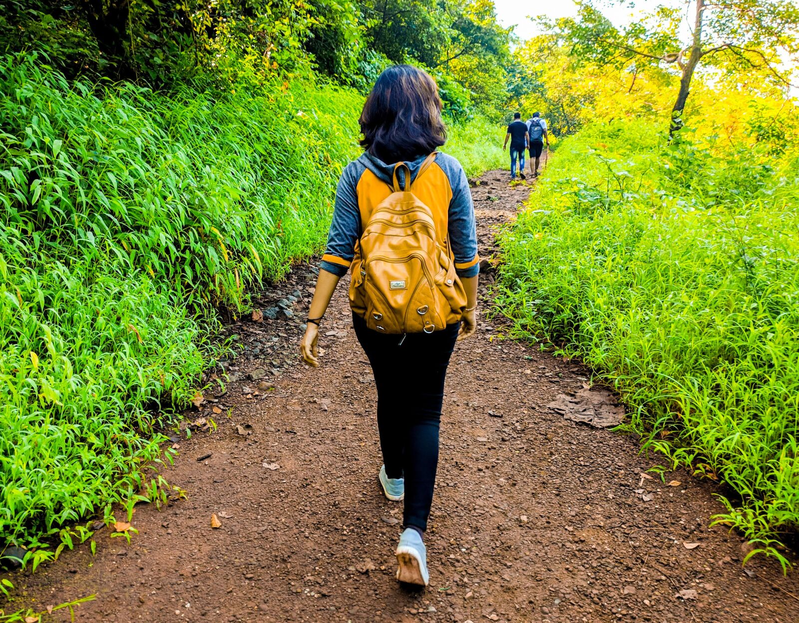 Xiaomi POCO F1 sample photo. Way, path, outdoor photography