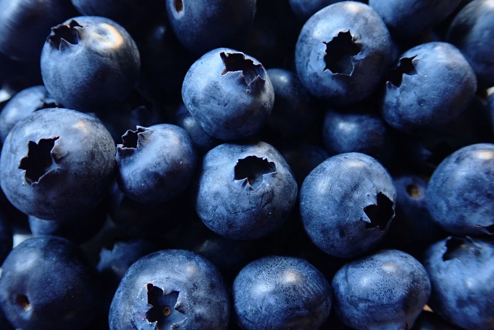Olympus TG-5 sample photo. Blueberries, fruit, healthy photography
