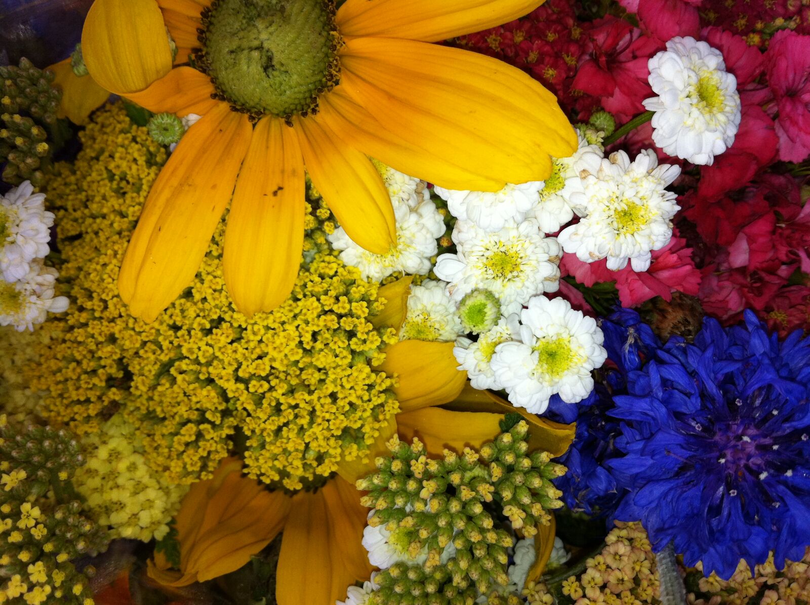 Apple iPhone 4 sample photo