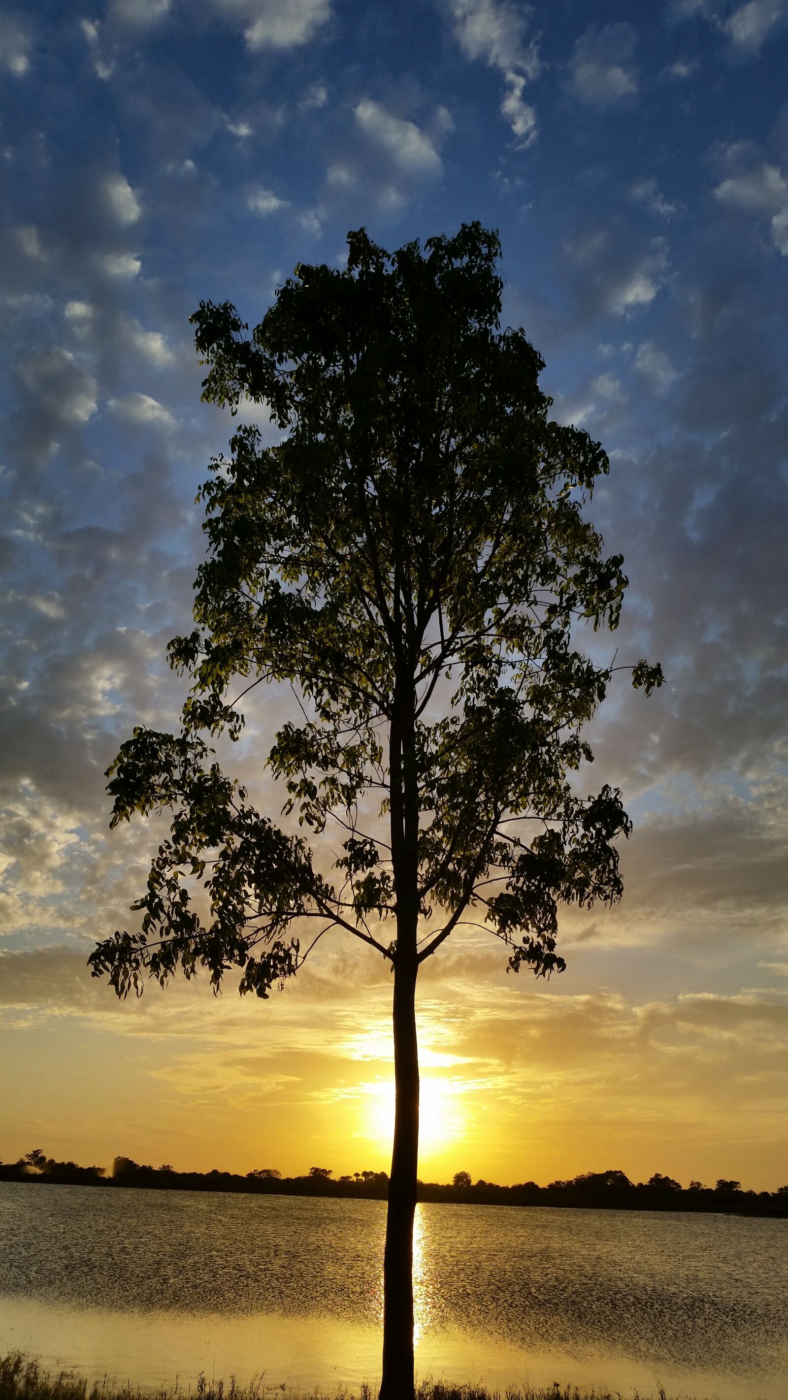 Samsung Galaxy S5 sample photo. Sunset, lake, tree photography