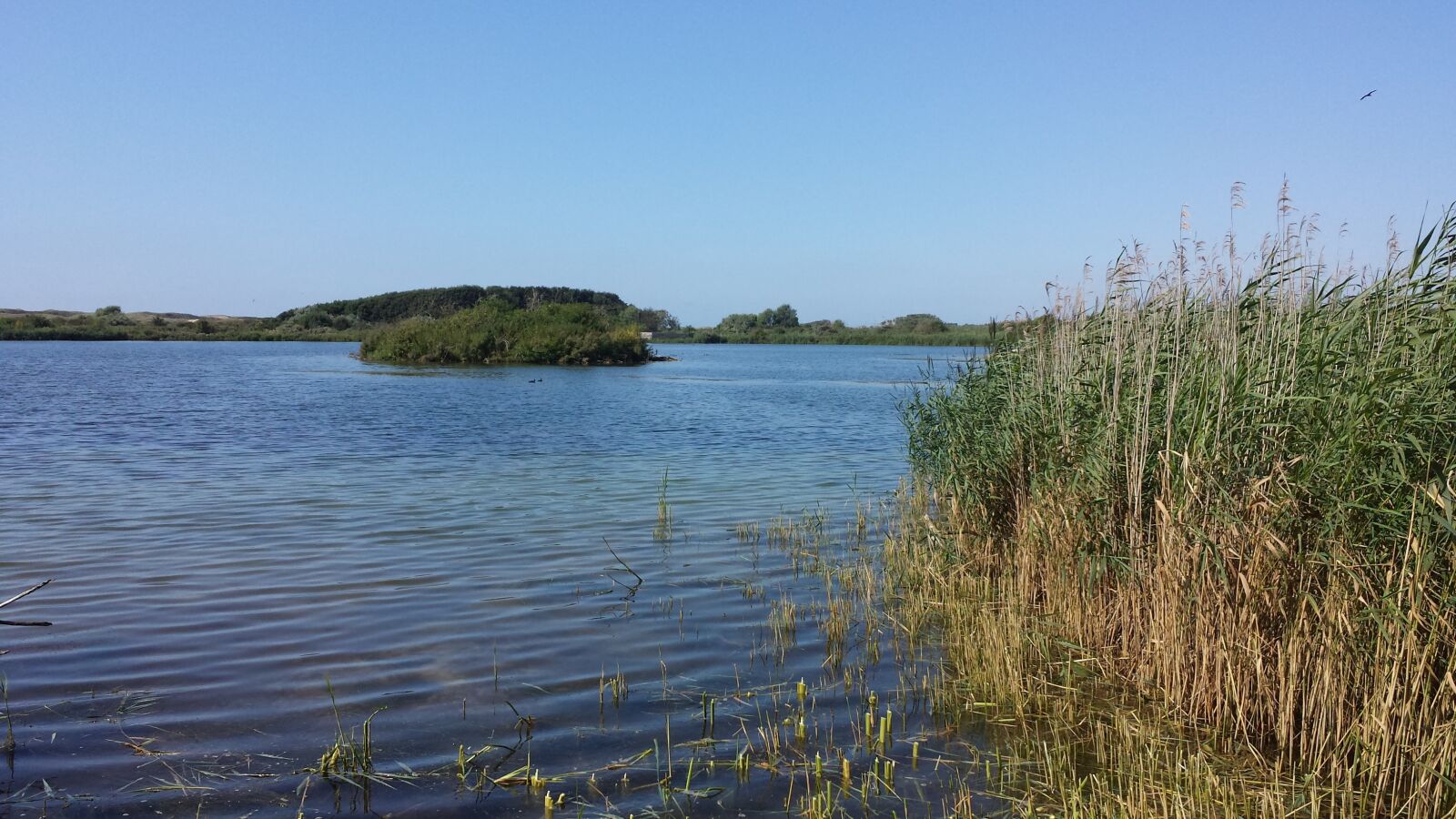 Samsung Galaxy S4 sample photo. Dune area, lake in photography