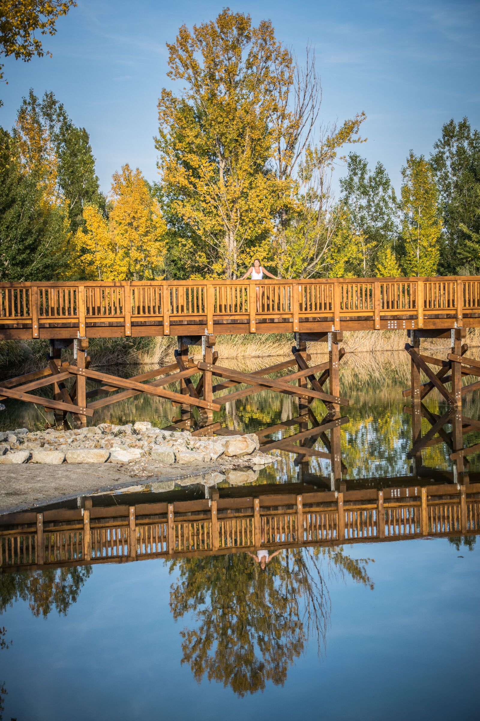 Nikon D5300 sample photo. Footbridge, lake, reflection photography