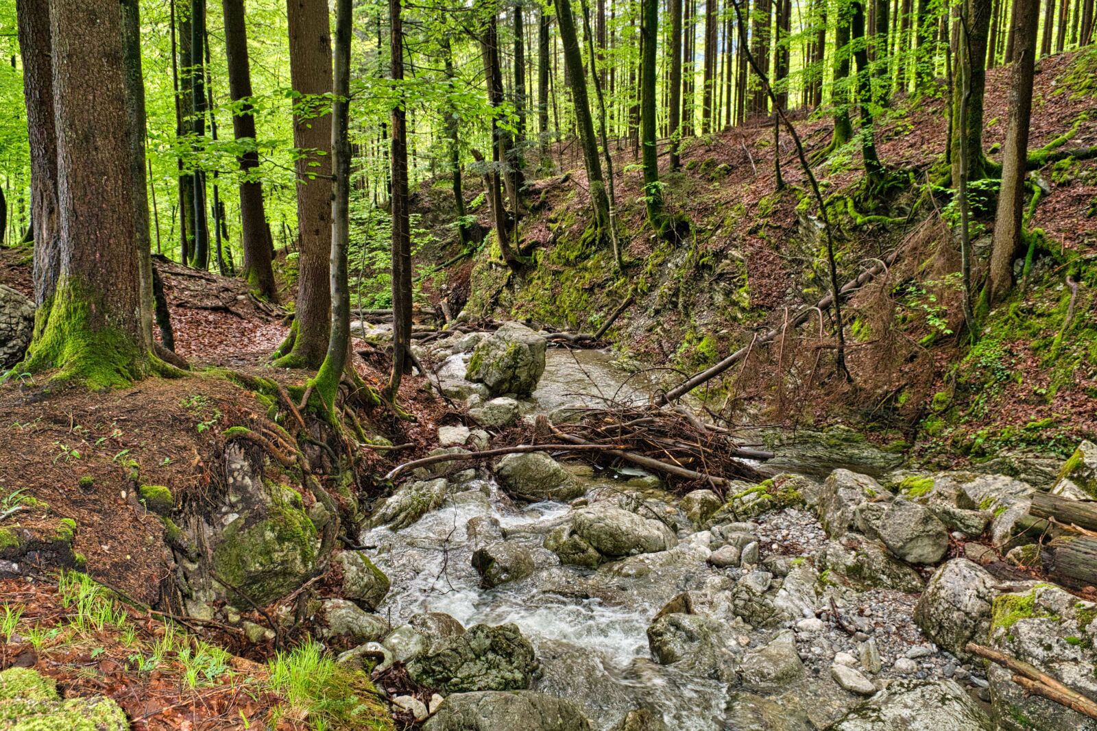 Nikon D7500 sample photo. Bach, torrent, nature photography