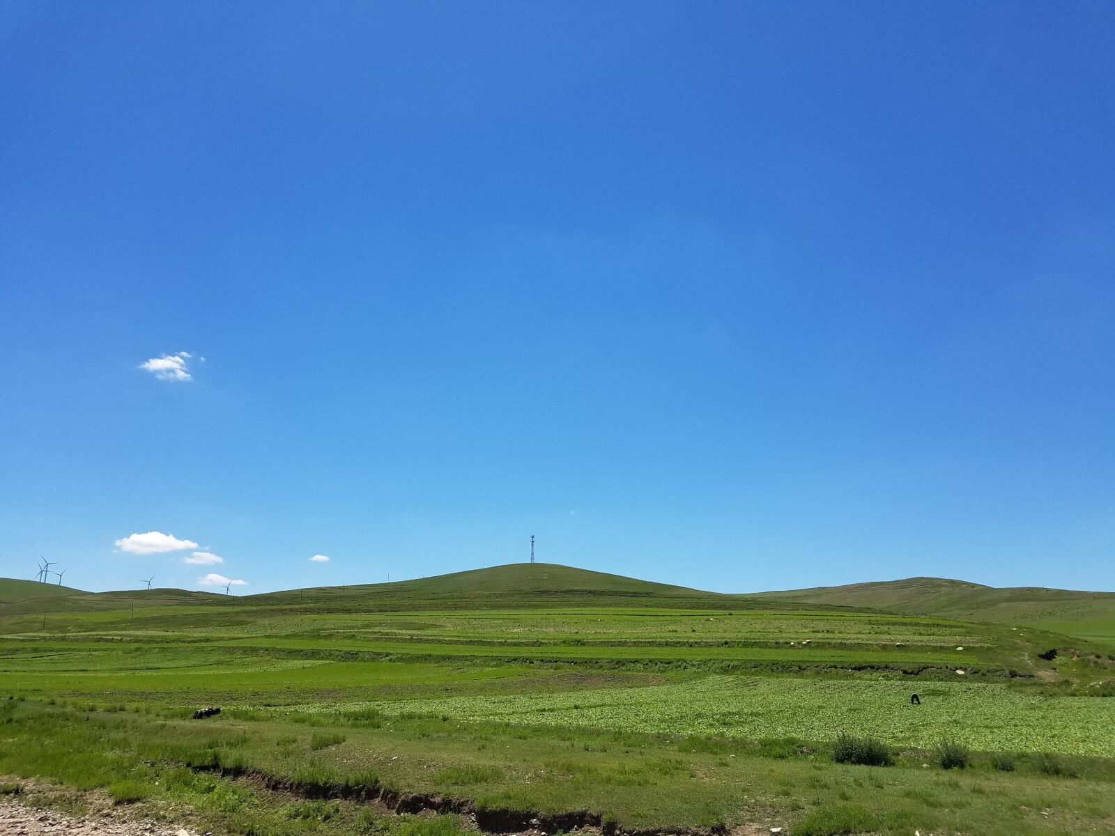 Samsung Galaxy S7 Edge sample photo. Blue sky, fresh air photography
