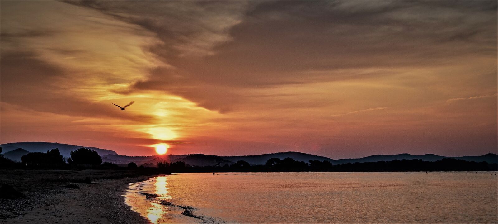 Nikon D5600 sample photo. Sunset, beach, sea photography