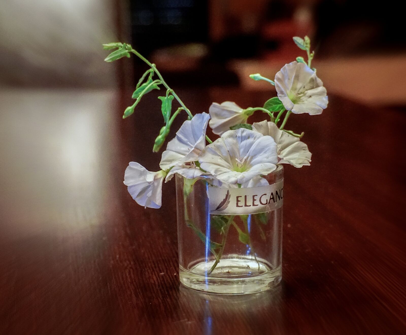 Sony a6000 sample photo. Glass, flowers, decoration photography